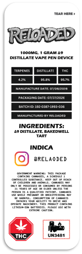 Bakedwell Tart back