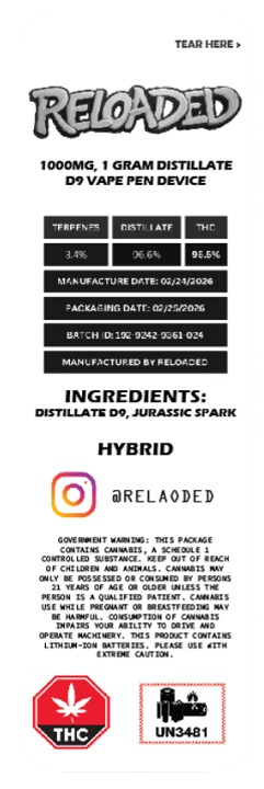 Jurassic Spark back