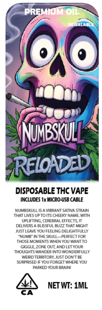 Numbskull front
